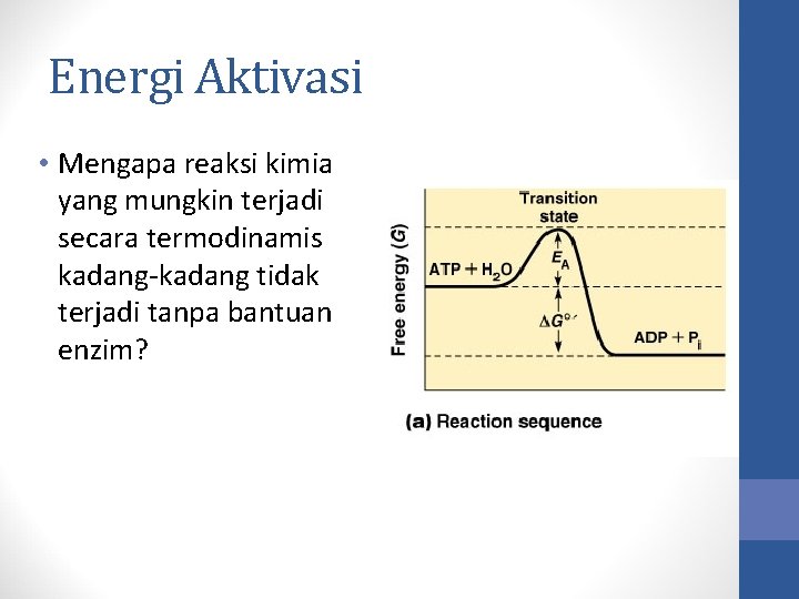 Energi Aktivasi • Mengapa reaksi kimia yang mungkin terjadi secara termodinamis kadang-kadang tidak terjadi