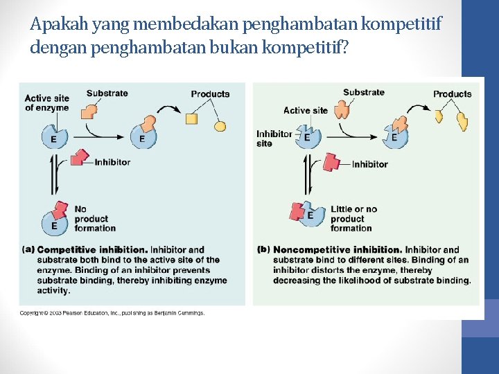 Apakah yang membedakan penghambatan kompetitif dengan penghambatan bukan kompetitif? 