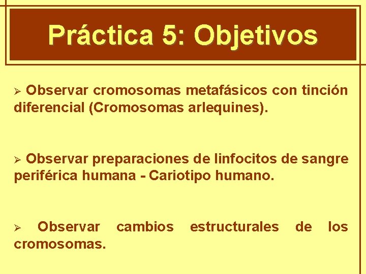 GENÈTICA MENDELIANA Práctica 5: Objetivos Observar cromosomas metafásicos con tinción diferencial (Cromosomas arlequines). Ø