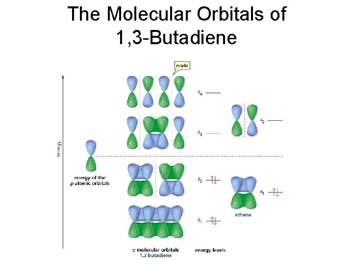 The Molecular Orbitals of 1, 3 -Butadiene 