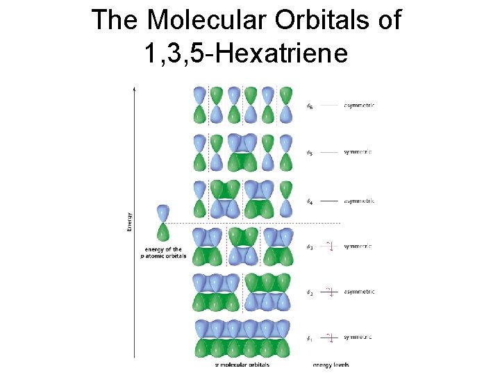 The Molecular Orbitals of 1, 3, 5 -Hexatriene 