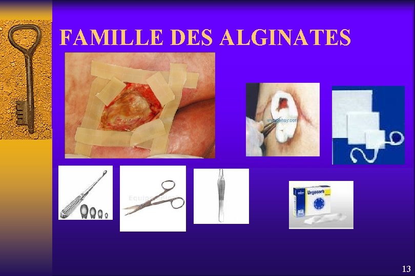 FAMILLE DES ALGINATES 13 