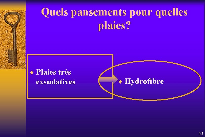 Quels pansements pour quelles plaies? ¨ Plaies très exsudatives ¨ Hydrofibre 53 