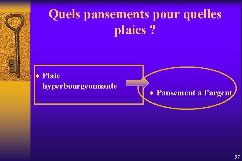 Quels pansements pour quelles plaies ? ¨ Plaie hyperbourgeonnante ¨ Pansement à l’argent 57