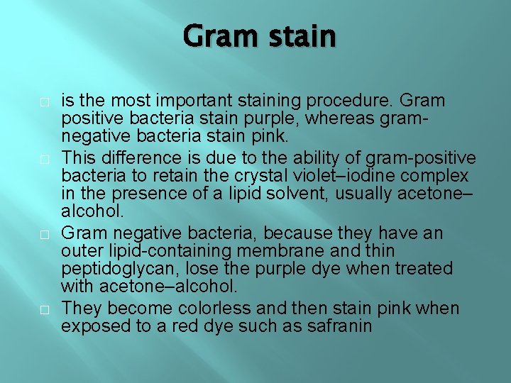 Gram stain � � is the most important staining procedure. Gram positive bacteria stain