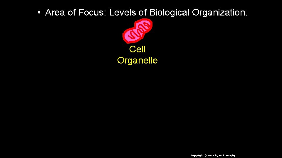  • Area of Focus: Levels of Biological Organization. Cell Organelle Copyright © 2010