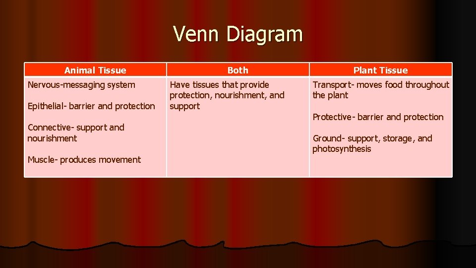 Venn Diagram Animal Tissue Nervous-messaging system Epithelial- barrier and protection Connective- support and nourishment