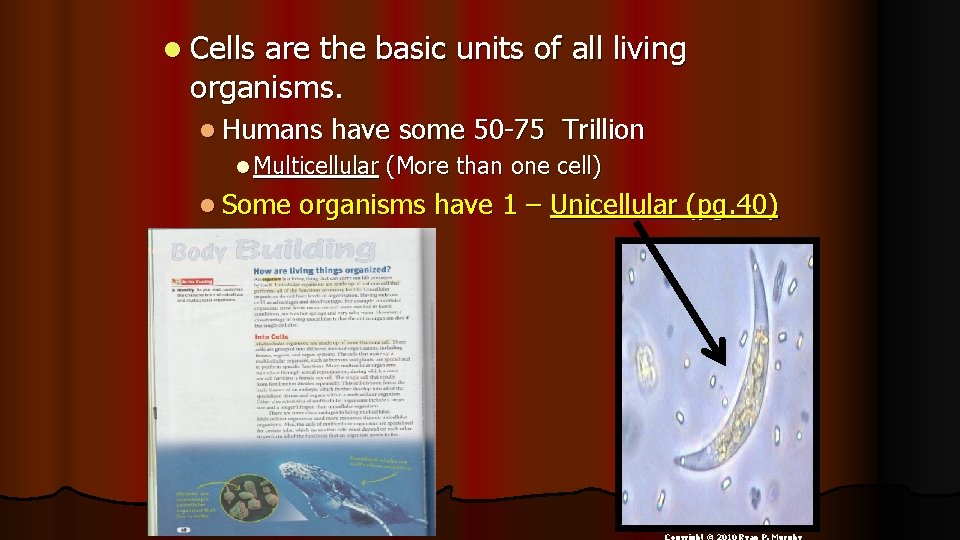 l Cells are the basic units of all living organisms. l Humans have some