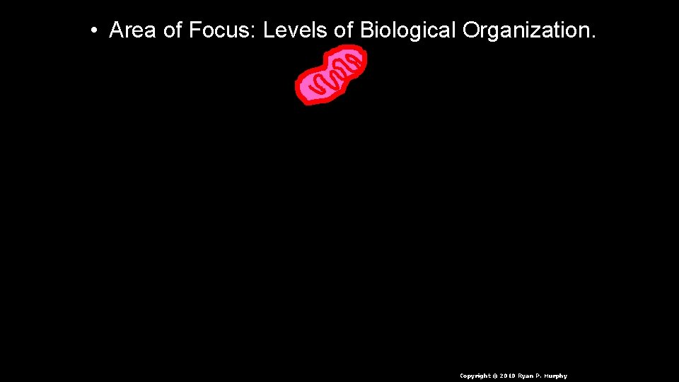  • Area of Focus: Levels of Biological Organization. Copyright © 2010 Ryan P.