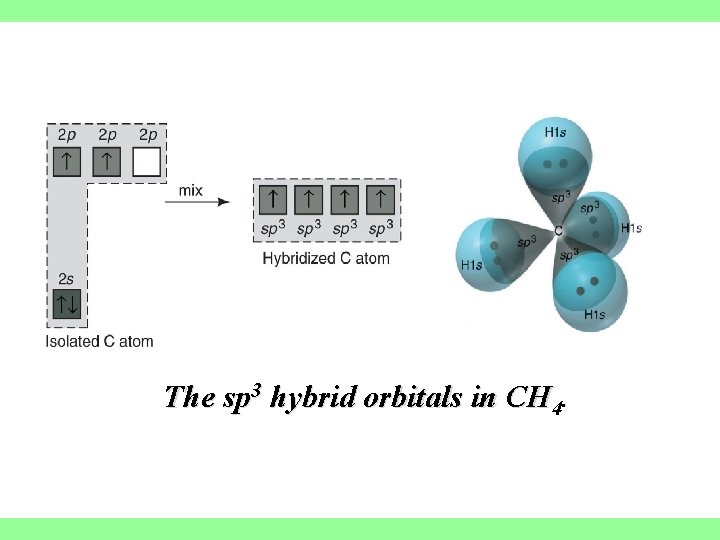 The sp 3 hybrid orbitals in CH 4. 