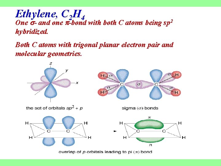 Ethylene, C 2 H 4 One - and one -bond with both C atoms