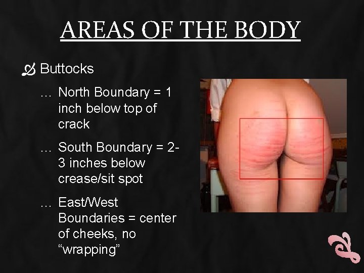 AREAS OF THE BODY Buttocks … North Boundary = 1 inch below top of