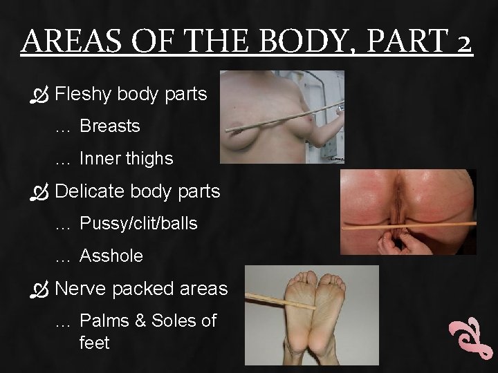 AREAS OF THE BODY, PART 2 Fleshy body parts … Breasts … Inner thighs