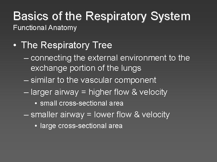 Basics of the Respiratory System Functional Anatomy • The Respiratory Tree – connecting the