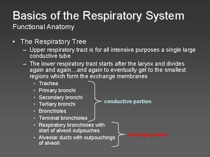 Basics of the Respiratory System Functional Anatomy • The Respiratory Tree – Upper respiratory