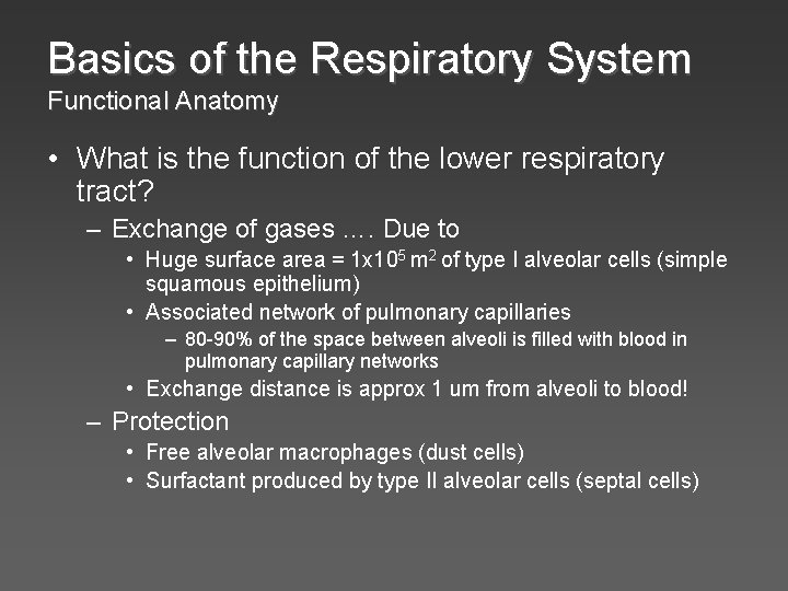 Basics of the Respiratory System Functional Anatomy • What is the function of the