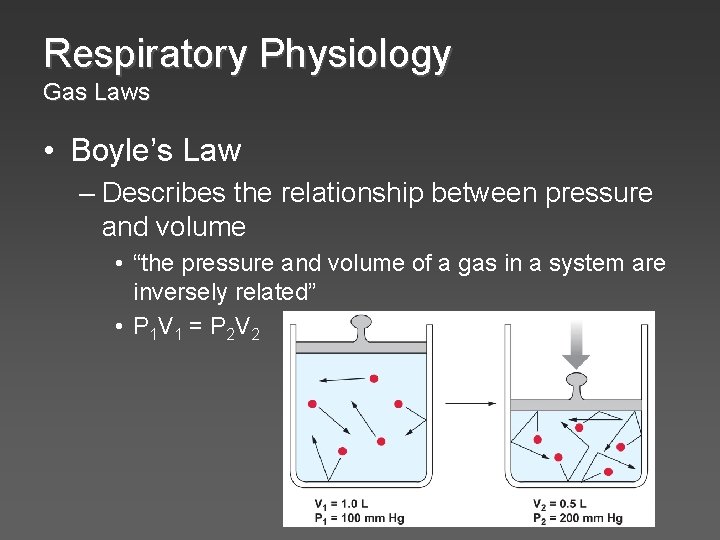 Respiratory Physiology Gas Laws • Boyle’s Law – Describes the relationship between pressure and