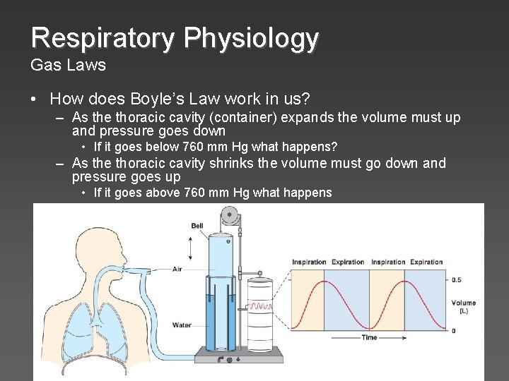 Respiratory Physiology Gas Laws • How does Boyle’s Law work in us? – As