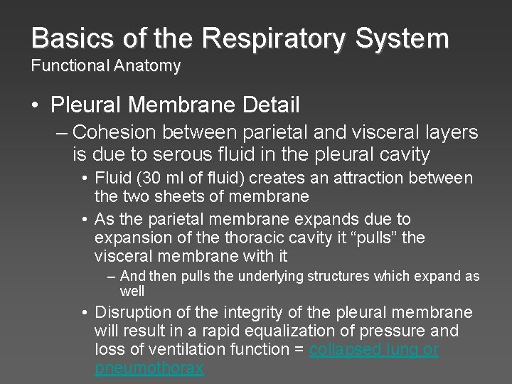 Basics of the Respiratory System Functional Anatomy • Pleural Membrane Detail – Cohesion between