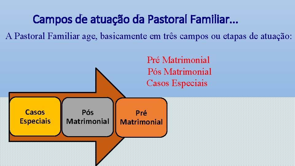 Campos de atuação da Pastoral Familiar. . . A Pastoral Familiar age, basicamente em