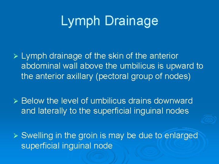 Lymph Drainage Ø Lymph drainage of the skin of the anterior abdominal wall above