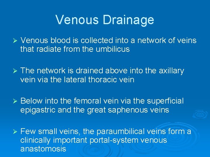 Venous Drainage Ø Venous blood is collected into a network of veins that radiate