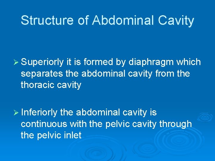 Structure of Abdominal Cavity Ø Superiorly it is formed by diaphragm which separates the