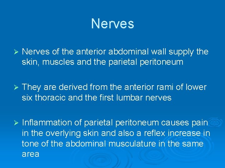 Nerves Ø Nerves of the anterior abdominal wall supply the skin, muscles and the