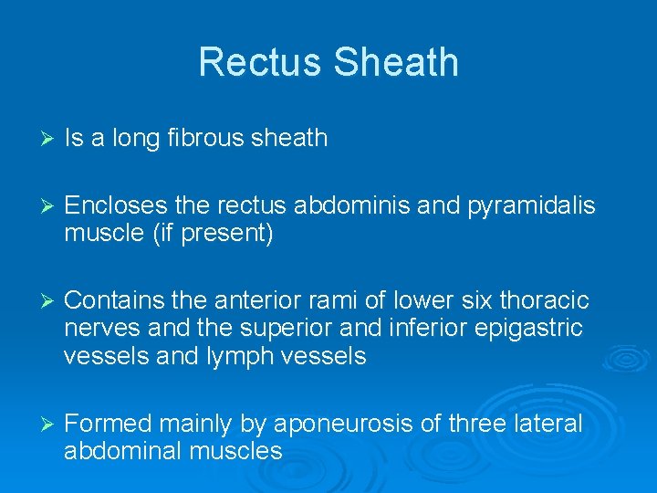 Rectus Sheath Ø Is a long fibrous sheath Ø Encloses the rectus abdominis and