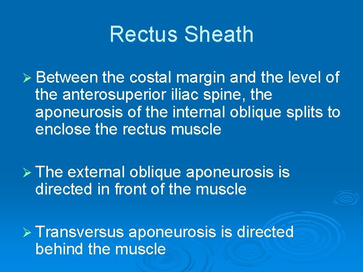 Rectus Sheath Ø Between the costal margin and the level of the anterosuperior iliac