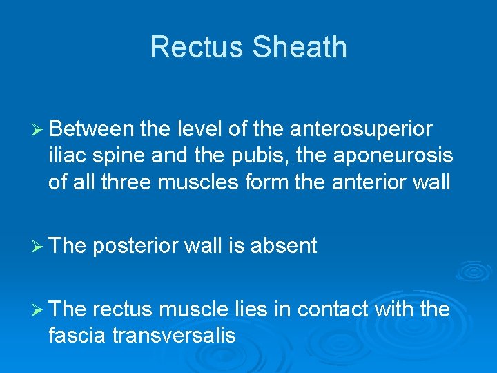 Rectus Sheath Ø Between the level of the anterosuperior iliac spine and the pubis,