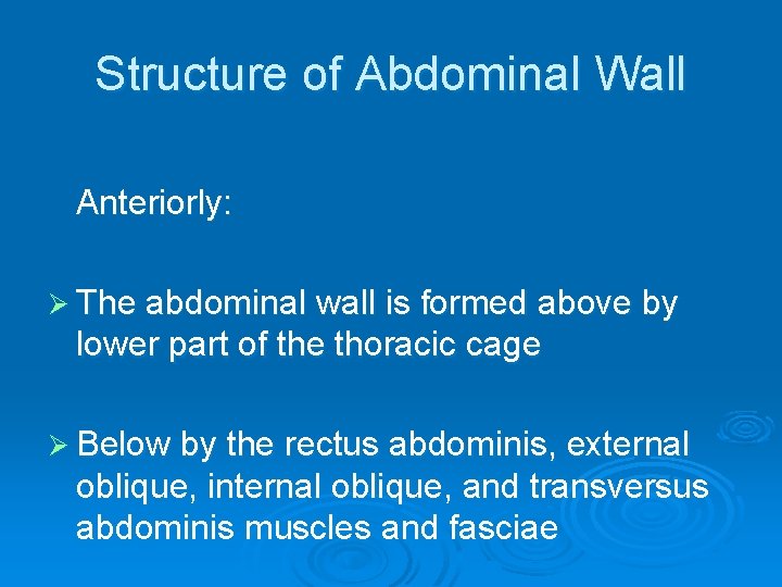 Structure of Abdominal Wall Anteriorly: Ø The abdominal wall is formed above by lower