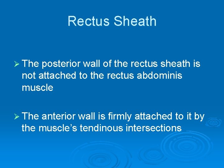 Rectus Sheath Ø The posterior wall of the rectus sheath is not attached to