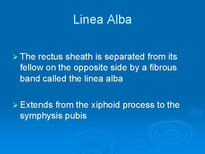 Linea Alba Ø The rectus sheath is separated from its fellow on the opposite