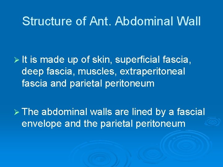 Structure of Ant. Abdominal Wall Ø It is made up of skin, superficial fascia,
