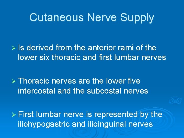 Cutaneous Nerve Supply Ø Is derived from the anterior rami of the lower six