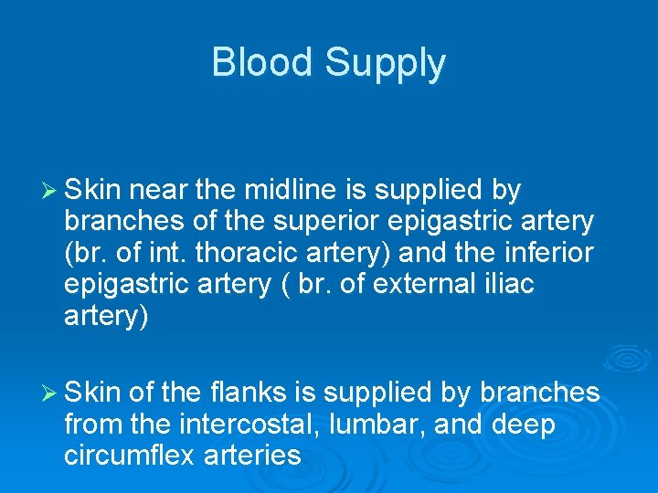 Blood Supply Ø Skin near the midline is supplied by branches of the superior