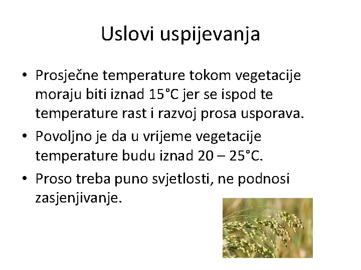 Uslovi uspijevanja • Prosječne temperature tokom vegetacije moraju biti iznad 15°C jer se ispod