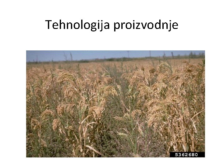 Tehnologija proizvodnje 