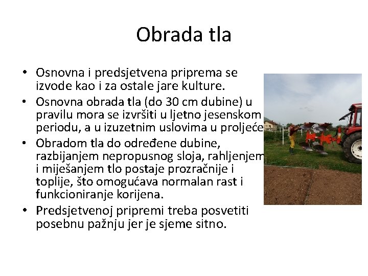 Obrada tla • Osnovna i predsjetvena priprema se izvode kao i za ostale jare