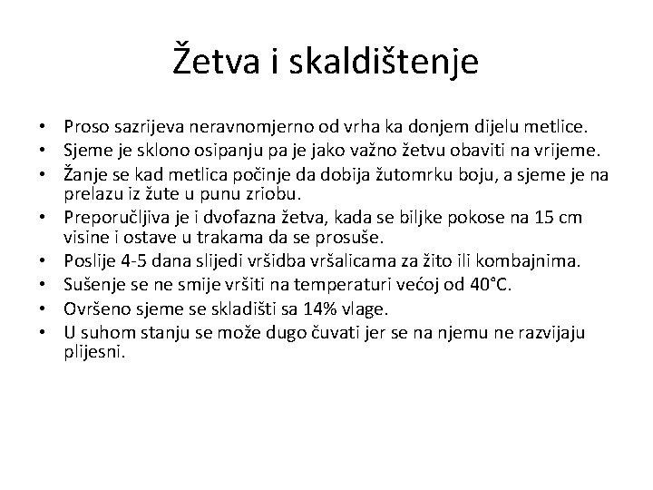 Žetva i skaldištenje • Proso sazrijeva neravnomjerno od vrha ka donjem dijelu metlice. •