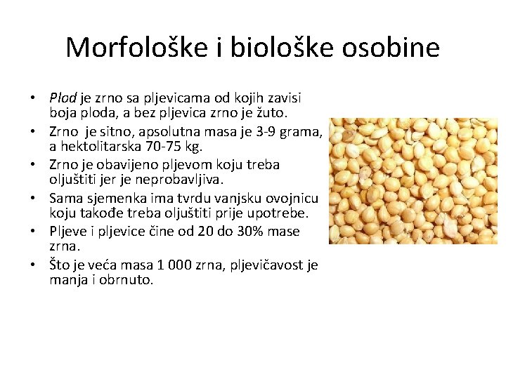 Morfološke i biološke osobine • Plod je zrno sa pljevicama od kojih zavisi boja