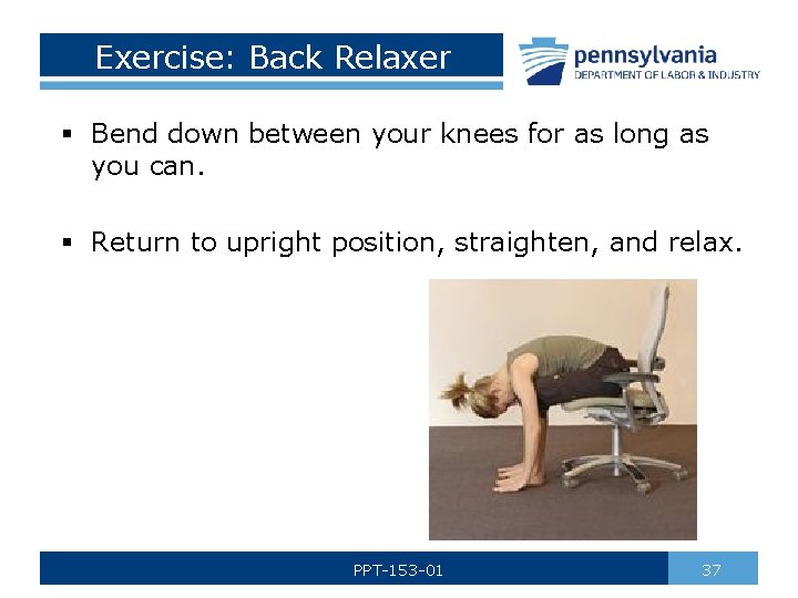 Exercise: Back Relaxer § Bend down between your knees for as long as you