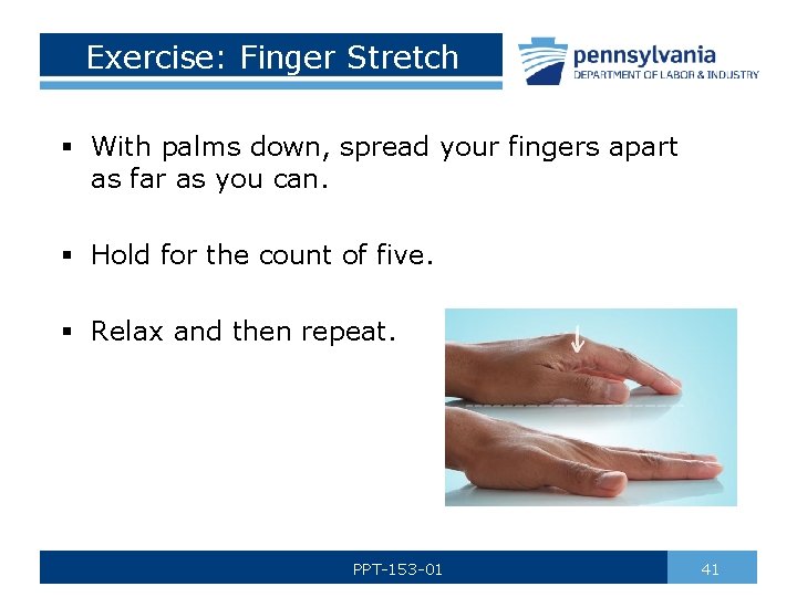 Exercise: Finger Stretch § With palms down, spread your fingers apart as far as