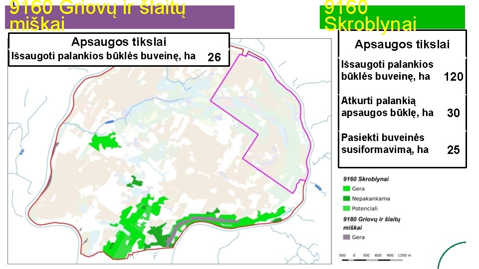 9160 Griovų ir šlaitų miškai 9160 Skroblynai Apsaugos tikslai Išsaugoti palankios būklės buveinę, ha