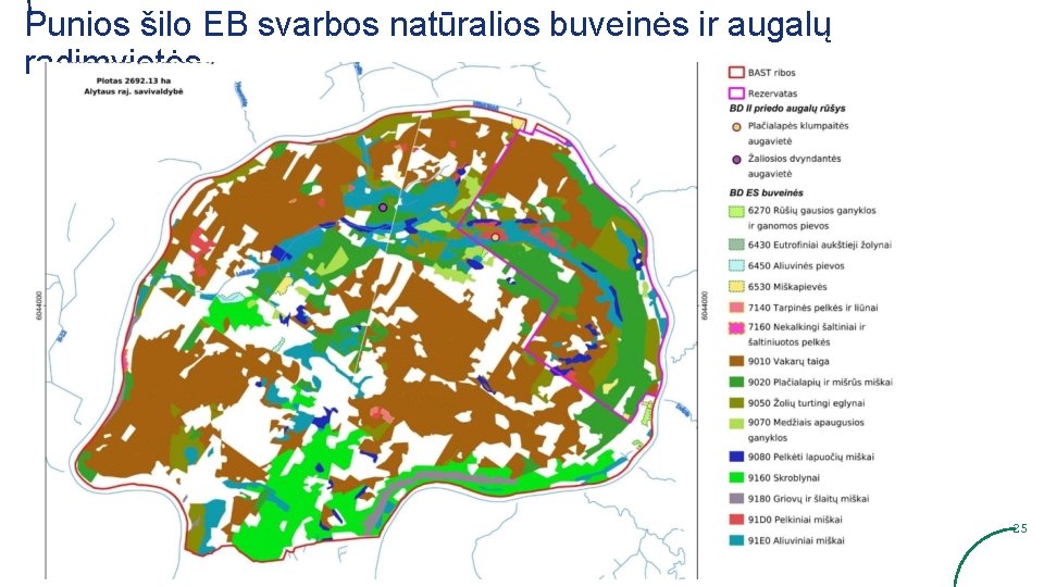 Punios šilo EB svarbos natūralios buveinės ir augalų radimvietės 25 