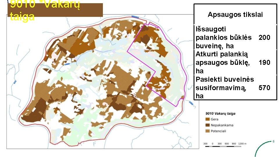 9010 *Vakarų taiga Apsaugos tikslai Išsaugoti palankios būklės 200 buveinę, ha Atkurti palankią apsaugos