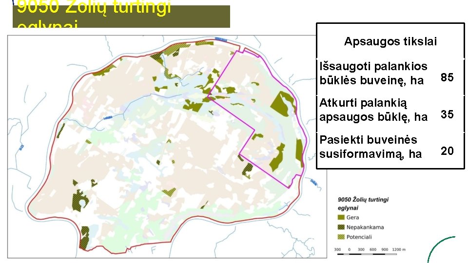 9050 Žolių turtingi eglynai Apsaugos tikslai Išsaugoti palankios būklės buveinę, ha 85 Atkurti palankią