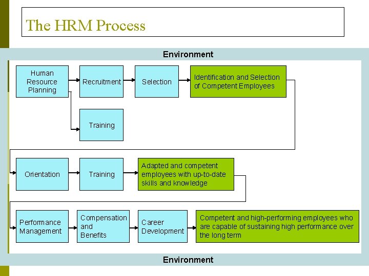 The HRM Process Environment Human Resource Planning Recruitment Selection Identification and Selection of Competent
