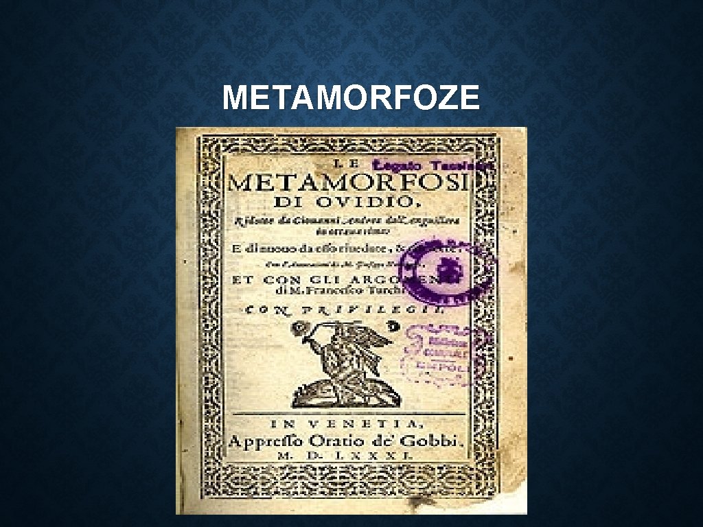 METAMORFOZE 